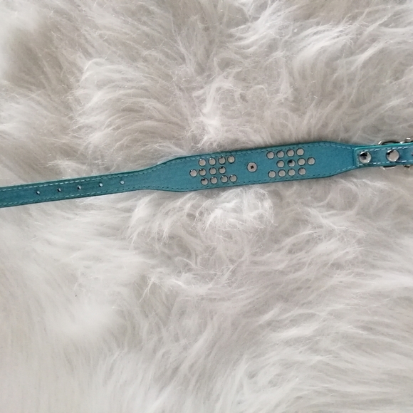 Dog collar - Picture 7 of 10